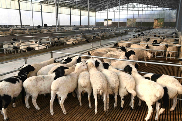 易游娱乐城- YY易游体育官方网站- 易游体育APP广东省汕头市潮南区田心湾海域非法用海养殖设施清理整治服务项目竞争性磋商公告