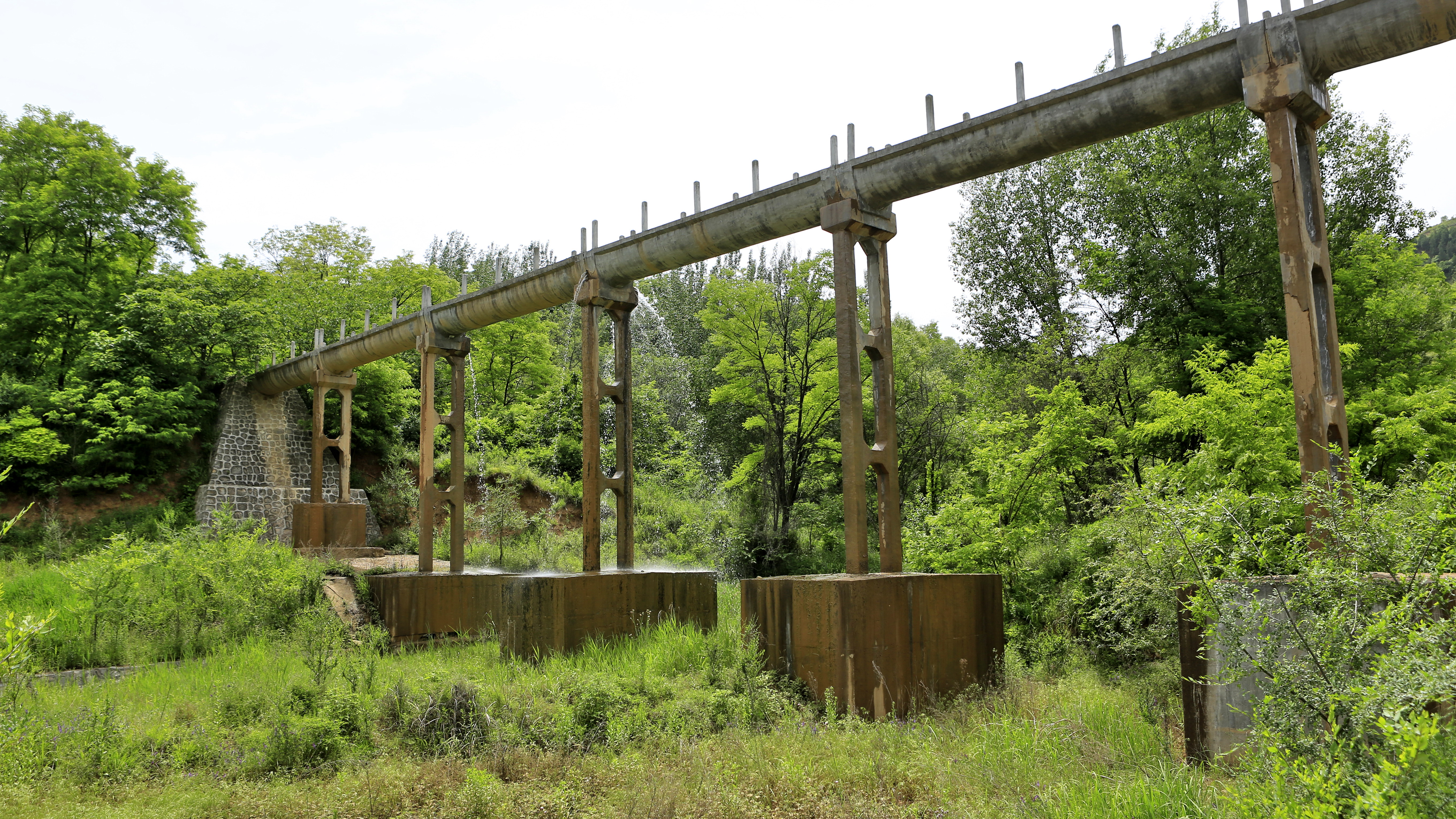 临潼铁炉土门河渠-政企频道-西安网